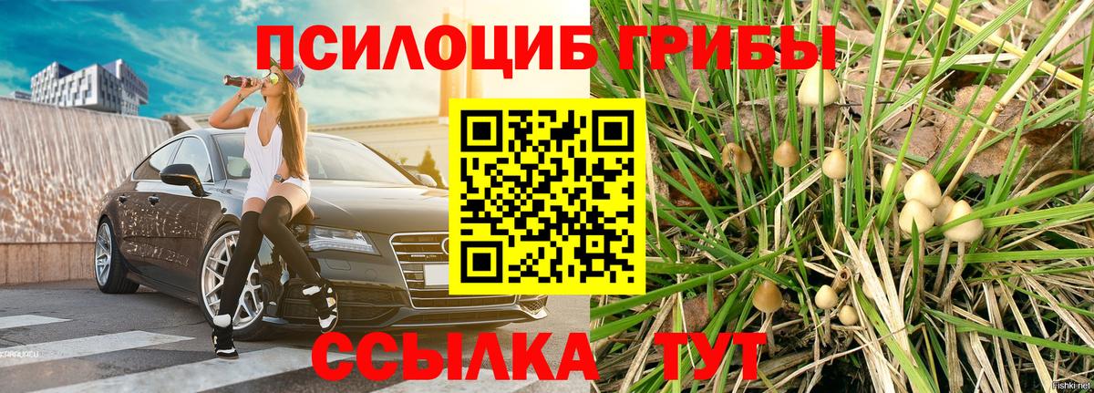 Псилоцибиновые грибы Cubensis  Галлюциногенные грибы мухоморы  Вход с VPN  как найти наркотики  Унеча 